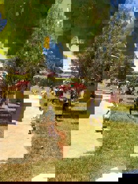 Emmanuel Victorious Mission Elementary School