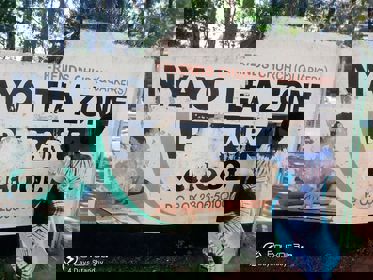 Nyayo Tea Zone Primary