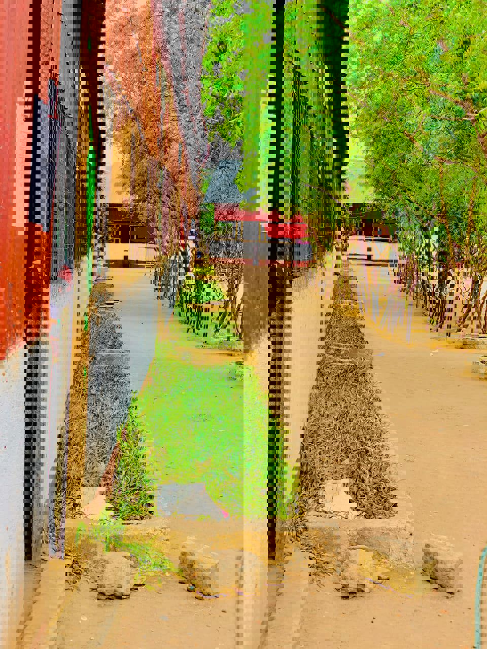 Gedi Group Of Schools