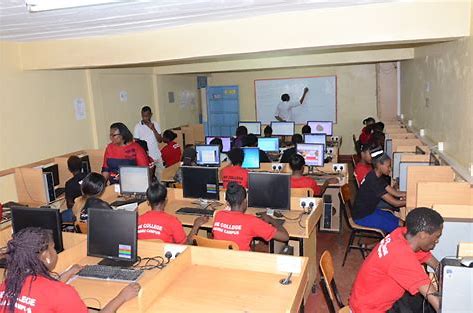 Nayolites Computer And Media College